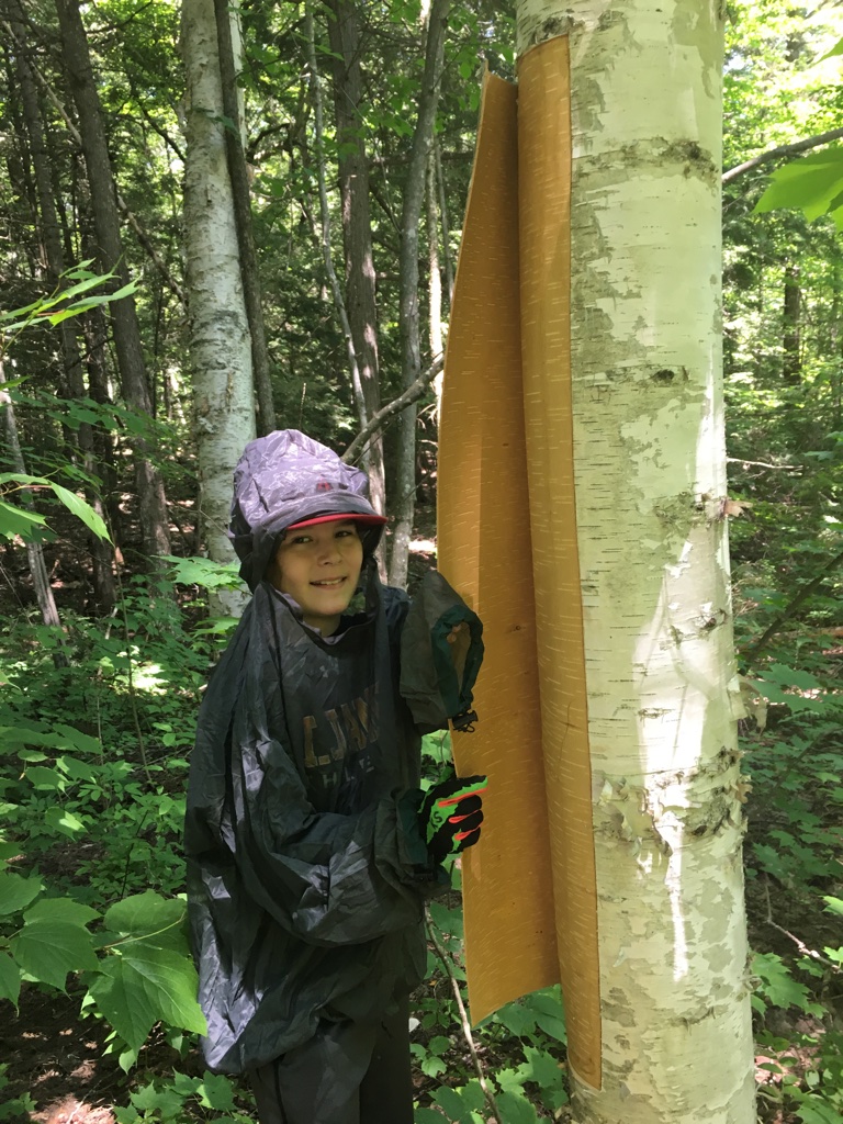 Birch bark canoe building — Sarazin family archive