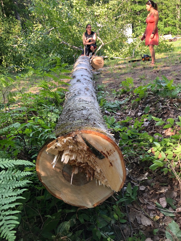 Birch bark canoe building — Sarazin family archive